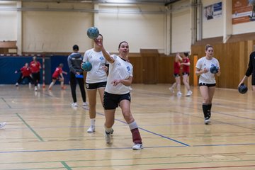 Bild 117 - F TSV Ellerau - HSG Tills Loewen 08 : Ergebnis: 16:18